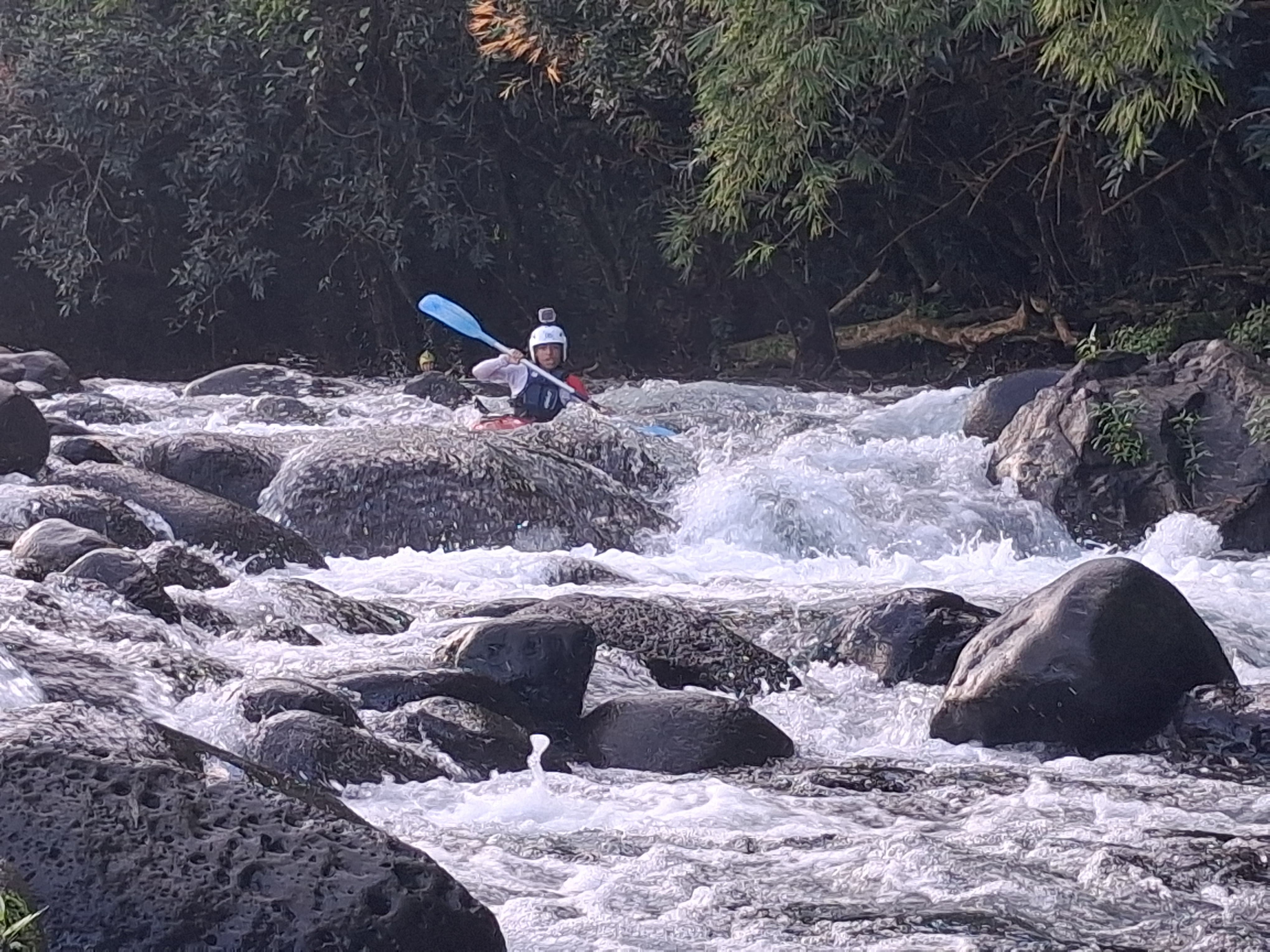 Rivière des Marsouins